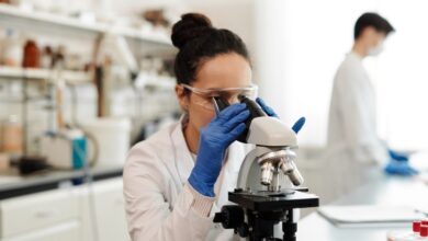 Laboratory Updates