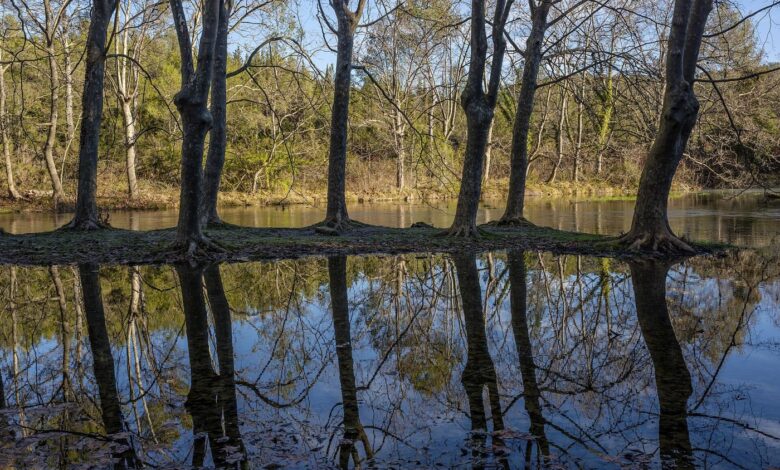 A river flowing through landscape