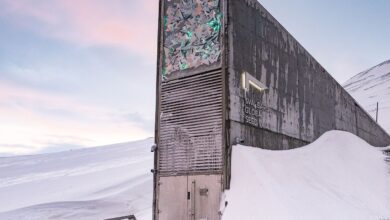 heavy secure vault door with digital security technology